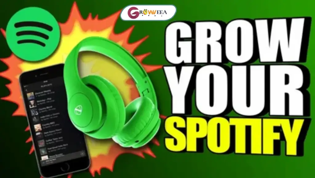 SpotifyStorm Review: Best Spotify Growth Service?