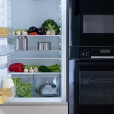 The Essential Guide to Refrigerators: Exploring Your Options