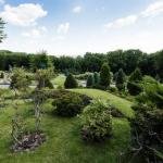 Discovering the Vibrant World of Singapore Landscaping